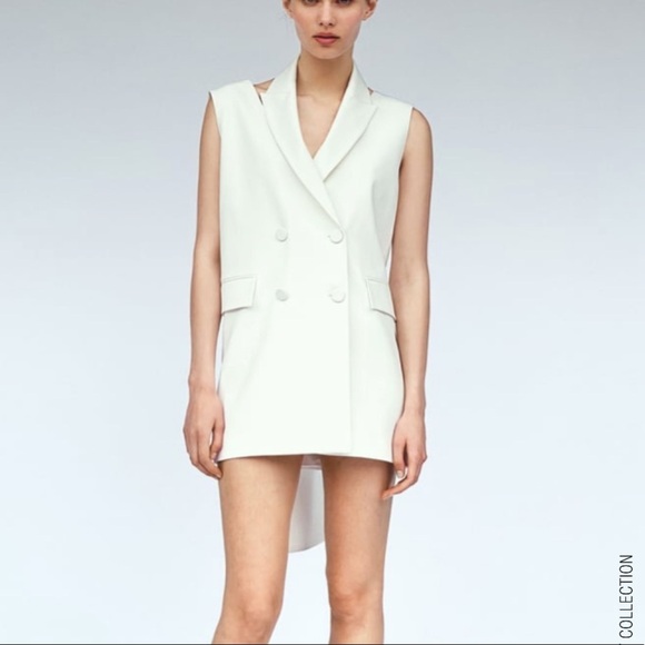 ZARA Limited Edition Bow Sleeveless Dress Size M BNWT - Picture 3 of 8